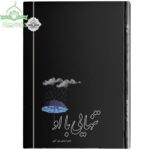 تنهایی با او (رمان امر به معروف)