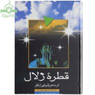 قطره زلال امر به معروف در عصر ما