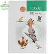 احکام پرندگان